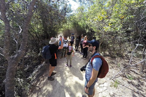 Wineglass Bay And Freycinet National Park Active Day Trip From Hobart - Accommodation Broome 19