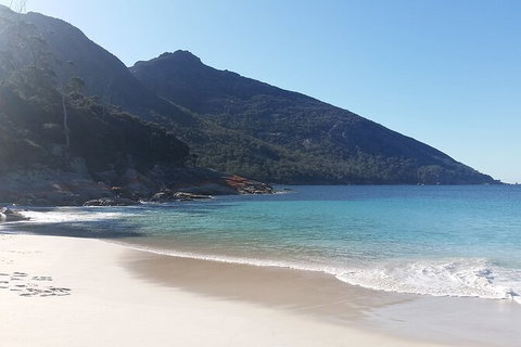 Wineglass Bay And Freycinet National Park Active Day Trip From Hobart - Accommodation Broome 10