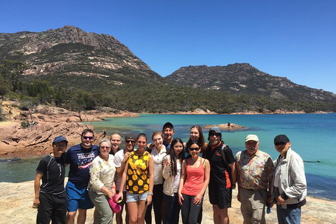Wineglass Bay And Freycinet National Park Active Day Trip From Hobart - Accommodation Broome 24