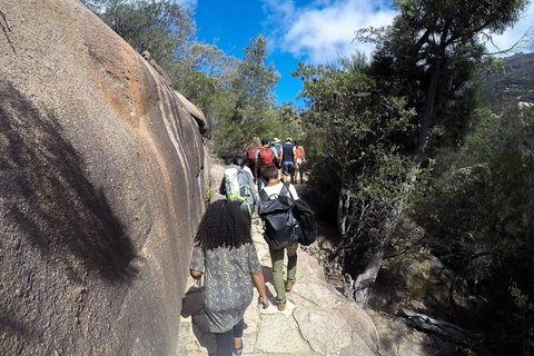 Wineglass Bay And Freycinet National Park Active Day Trip From Hobart - Accommodation Broome 21