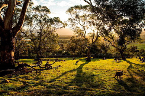 Shore Excursion: Five Of Hobart's Best In One Day - Accommodation Broome 1