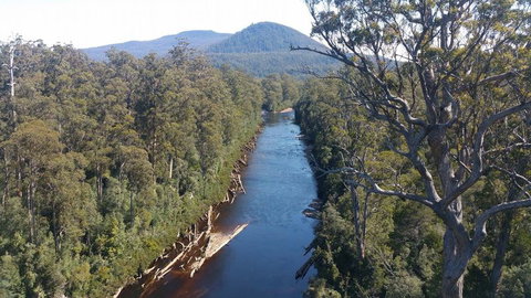Small-group DayTour From Hobart: Hastings Caves, Huon Valley And Tahune AirWalk - Accommodation Broome 3