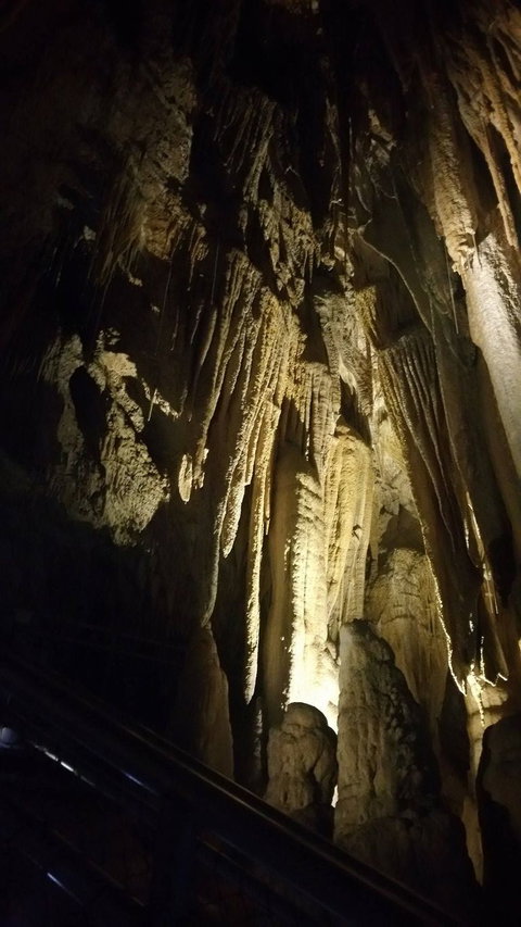 Small-group DayTour From Hobart: Hastings Caves, Huon Valley And Tahune AirWalk - Accommodation Broome 5