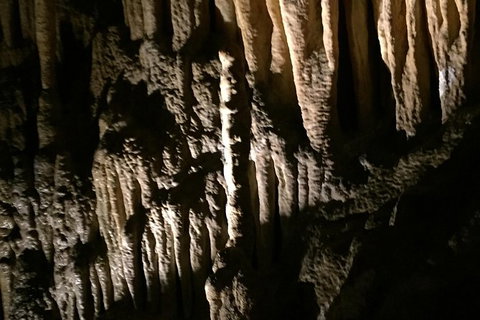 Small-group DayTour From Hobart: Hastings Caves, Huon Valley And Tahune AirWalk - Accommodation Broome 1