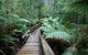 Small-group DayTour From Hobart: Hastings Caves, Huon Valley And Tahune AirWalk - thumb 0