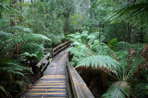 Small-group DayTour From Hobart: Hastings Caves, Huon Valley And Tahune AirWalk - Accommodation Broome 0