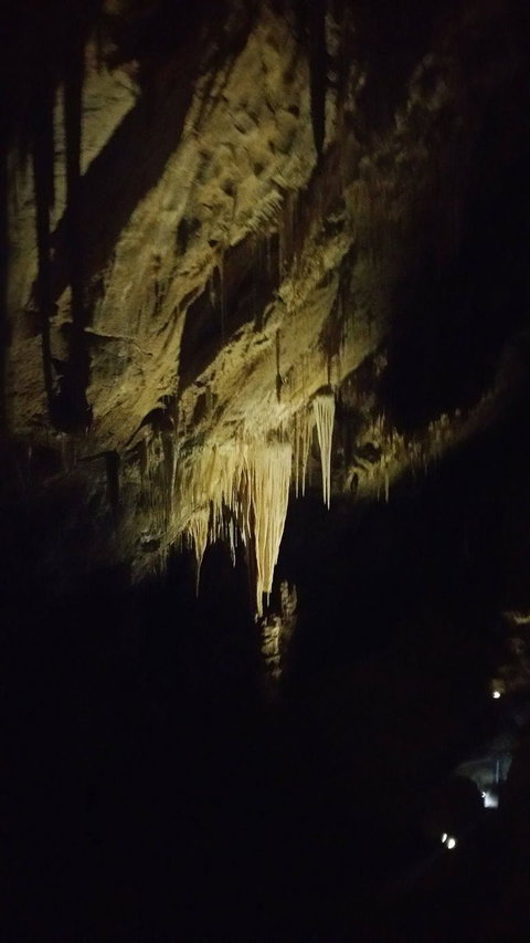 Small-group DayTour From Hobart: Hastings Caves, Huon Valley And Tahune AirWalk - Accommodation Broome 7