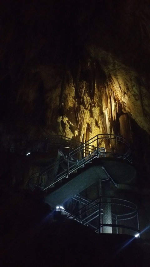 Small-group DayTour From Hobart: Hastings Caves, Huon Valley And Tahune AirWalk - Accommodation Broome 4