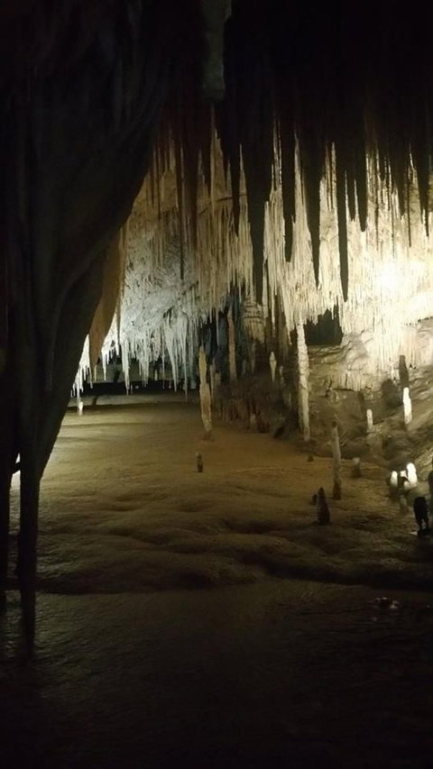 Small-group DayTour From Hobart: Hastings Caves, Huon Valley And Tahune AirWalk - Accommodation Broome 8