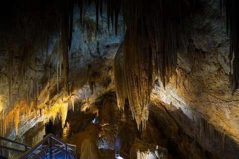 Small-group DayTour From Hobart: Hastings Caves, Huon Valley And Tahune AirWalk - Accommodation Broome 19