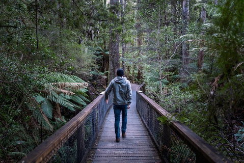 Small-group DayTour From Hobart: Hastings Caves, Huon Valley And Tahune AirWalk - Accommodation Broome 11
