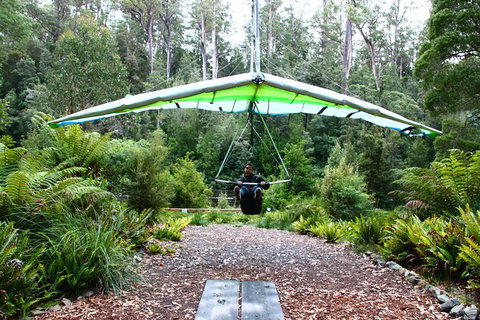Small-group DayTour From Hobart: Hastings Caves, Huon Valley And Tahune AirWalk - Accommodation Broome 10