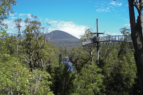 Small-group DayTour From Hobart: Hastings Caves, Huon Valley And Tahune AirWalk - Accommodation Broome 9