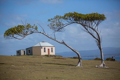Maria Island Active Day Trip From Hobart - Accommodation Broome 3