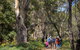 Maria Island Active Day Trip From Hobart - thumb 12