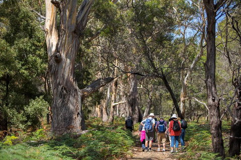 Maria Island Active Day Trip From Hobart - Accommodation Broome 12