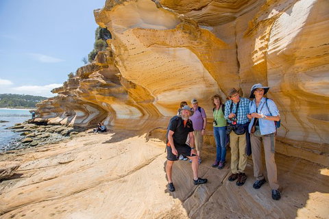 Maria Island Active Day Trip From Hobart - Accommodation Broome 7