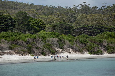 Maria Island Active Day Trip From Hobart - Accommodation Broome 11