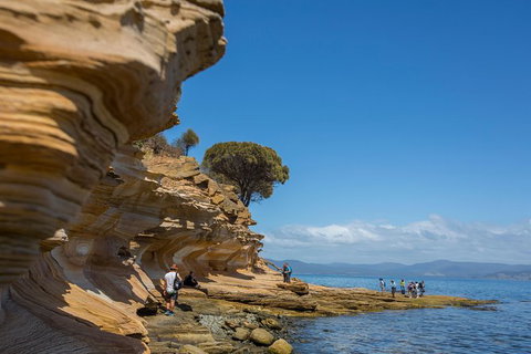 Maria Island Active Day Trip From Hobart - Accommodation Broome 5