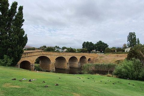 Port Arthur, Richmond And Tasman Peninsula Day Trip From Hobart - Accommodation Broome 7