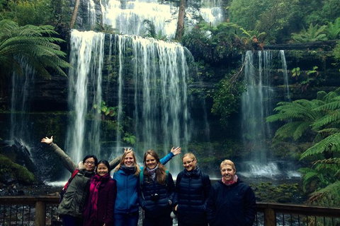 Mt Field National Park Active Day-Trip Including Bonorong And Mt Wellington - Accommodation Broome 1