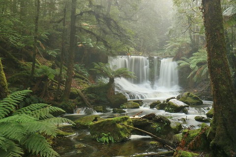 Mt Field National Park Active Day-Trip Including Bonorong And Mt Wellington - Accommodation Broome 10