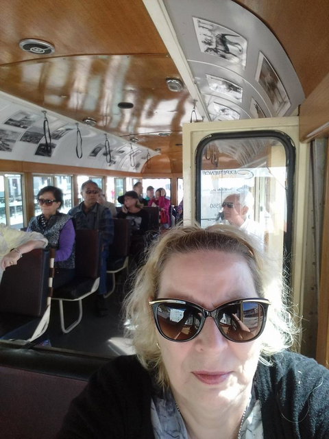 Hobart Half-Day Sightseeing Coach Tram Tour - Accommodation Broome 2