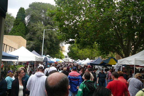 Hobart Half-Day Sightseeing Coach Tram Tour - Accommodation Broome 18