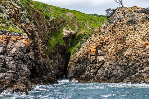 Hobart Sightseeing Cruise Including Iron Pot Lighthouse - Accommodation Broome 1
