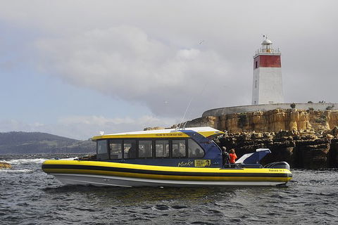 Hobart Sightseeing Cruise Including Iron Pot Lighthouse - Accommodation Broome 7