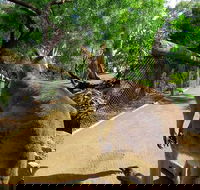 Wilderness and Wildlife - Accommodation Broome