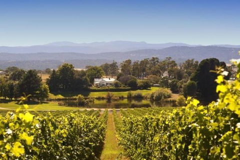 Josef Chromy Wines Winery Tour Including Tasting And Lunch - Accommodation Broome 5