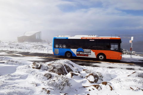 Kunanyi/Mt Wellington Tour & Hobart Hop-On Hop-Off Bus - Accommodation Broome 4