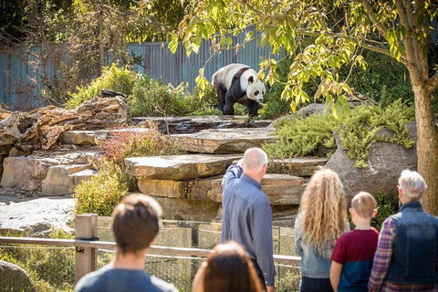 Adelaide Zoo Behind The Scenes Experience: Panda And Friends Tour - Accommodation Broome 0