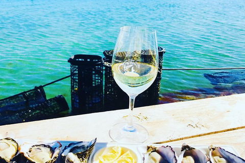 Coffin Bay Oyster Farm & Tasting Tour - Accommodation Broome 11