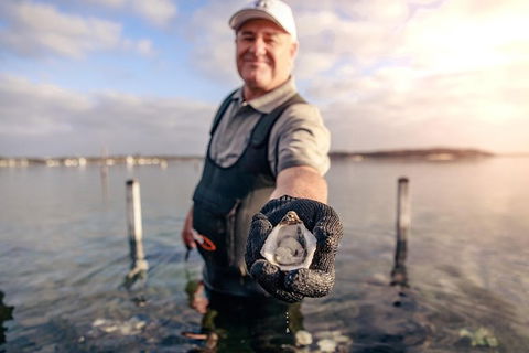 Coffin Bay Oyster Farm & Tasting Tour - Accommodation Broome 3