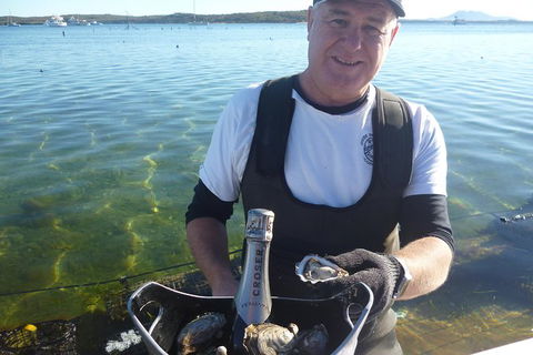 Coffin Bay Oyster Farm & Tasting Tour - Accommodation Broome 2