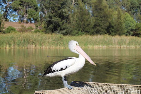 Private Departure Transfer From Adelaide City To Adelaide Int Airport - Accommodation Broome 1