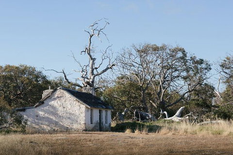 Exceptional Port Lincoln, Seafood And Wildlife Tour - Accommodation Broome 7