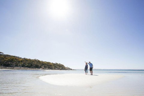 Exceptional Port Lincoln, Seafood And Wildlife Tour - Accommodation Broome 5