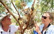 Exceptional Port Lincoln, Seafood And Wildlife Tour - thumb 6