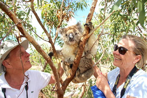 Exceptional Port Lincoln, Seafood And Wildlife Tour - Accommodation Broome 6