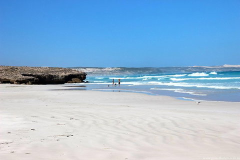 Exceptional Port Lincoln, Seafood And Wildlife Tour - Accommodation Broome 4