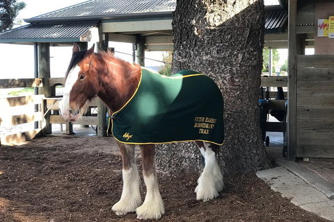 McLaren Vale Wine Region Full-Day Tour From Adelaide - Accommodation Broome 4