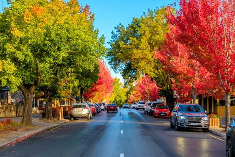 McLaren Vale Wine Region Full-Day Tour From Adelaide - Accommodation Broome 6