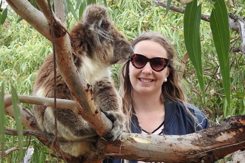 One Day Port Lincoln Tour - Tasting Eyre - Accommodation Broome 0