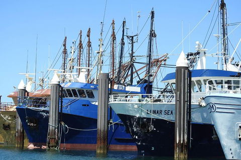One Day Port Lincoln Tour - Tasting Eyre - Accommodation Broome 8