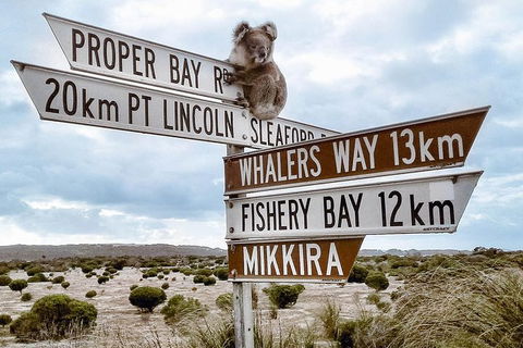 One Day Port Lincoln Tour - Tasting Eyre - Accommodation Broome 4