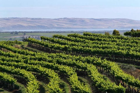 Victor Harbor And Southern Highlights From Adelaide Including Lunch - Accommodation Broome 3