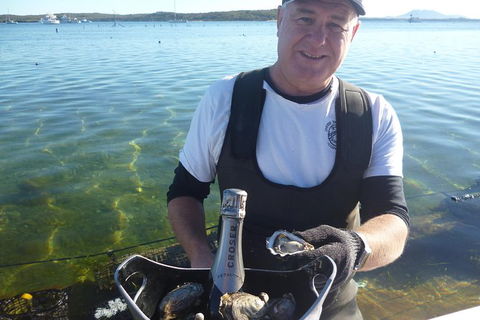 Oyster Farm And Tasting Tour With Hotel Pick-up And Return From Port Lincoln - Accommodation Broome 0